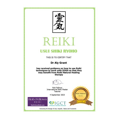 Certificate_Reiki 1
