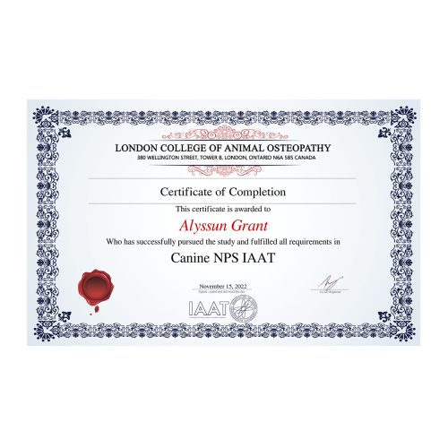 Certificates-1.jpg