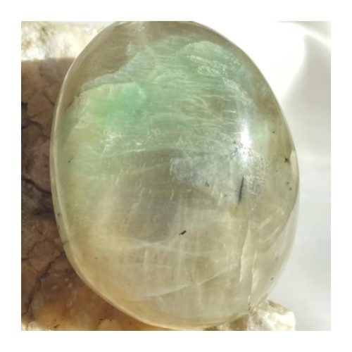 dynamic-dogs-massage-reiki-palmstones11