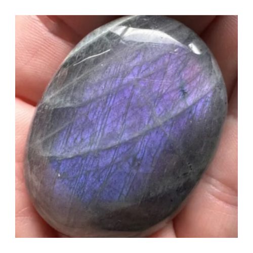 dynamic-dogs-massage-reiki-palmstones9